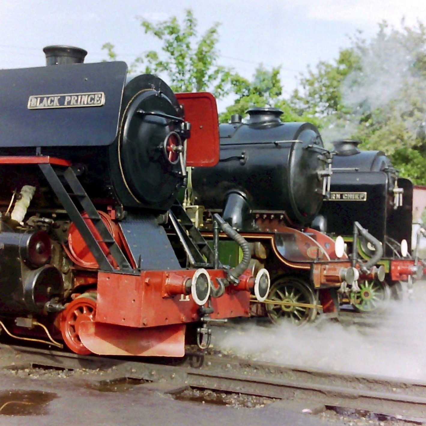 Lineup of steam locomotives